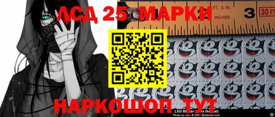 индика Новодвинск