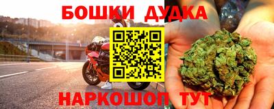 индика Новодвинск