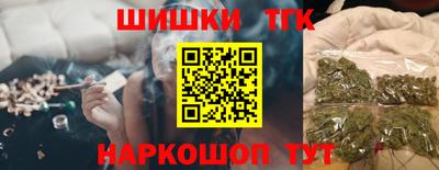 индика Новодвинск