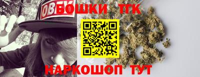 индика Обнинск