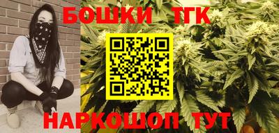 индика Новодвинск