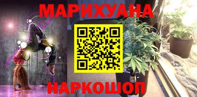 индика Новодвинск